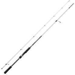 CANNE SPINNING MITCHELL TANAGER SW SPINNING ROD